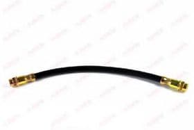 Гальмівний шланг