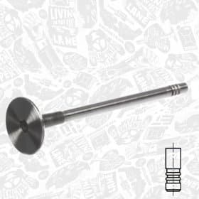 Впускний клапан