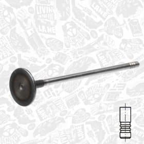 Впускний клапан Впускний клапан