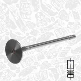 Впускной клапан