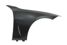 Крило переднє