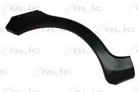 Крило переднє