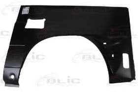 Крило переднє