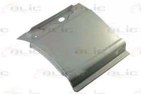 Крило переднє