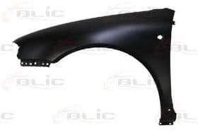 Крило переднє