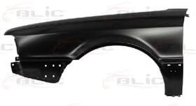 Крило переднє