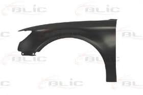 Крило переднє