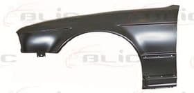 Крило переднє