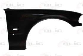 Крыло переднее