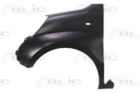 Крило переднє