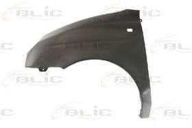 Крило переднє