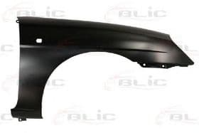 Крило переднє