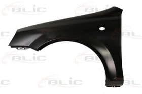 Крило переднє