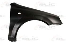 Крыло переднее