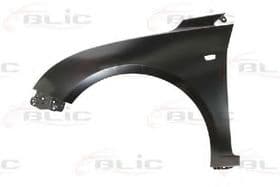 Крило переднє