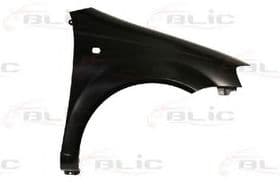 Крило переднє