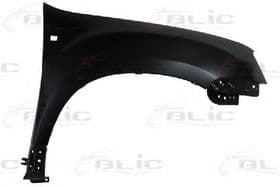 Крило переднє