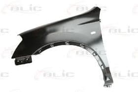 Крило переднє