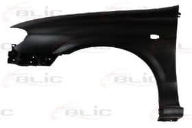 Крило переднє