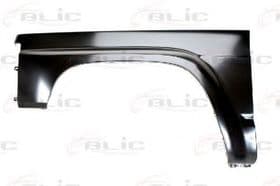 Крило переднє