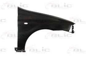 Крило переднє