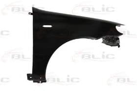 Крило переднє