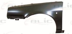 Крило переднє