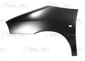 Крыло переднее