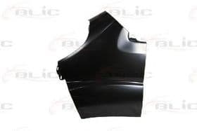 Крило переднє