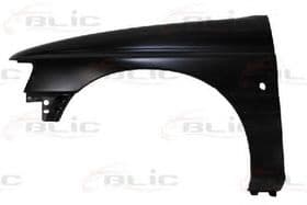 Крило переднє