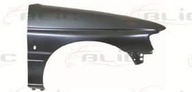 Крило переднє