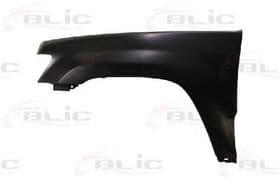 Крило переднє