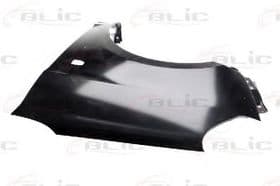 Крило переднє