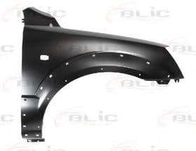 Крило переднє