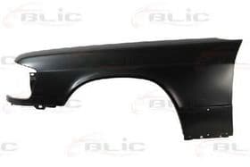 Крило переднє