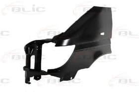 Крило переднє