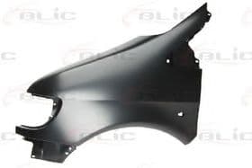 Крило переднє