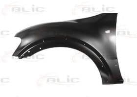 Крило переднє Крило переднє