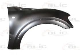 Крило переднє Крило переднє