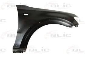 Крило переднє Крило переднє