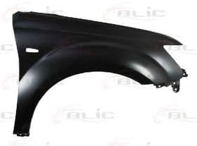 Крило переднє Крило переднє