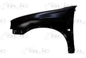 Крило переднє