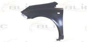 Крило переднє