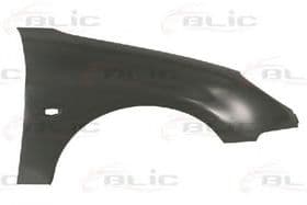 Крило переднє