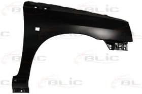 Крило переднє