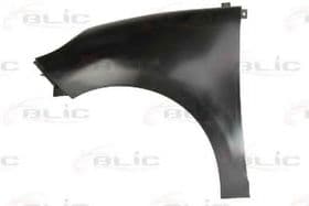 Крило переднє