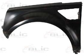 Крило переднє