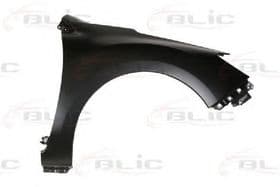 Крило переднє