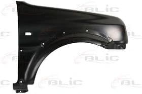 Крило переднє