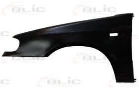 Крило переднє